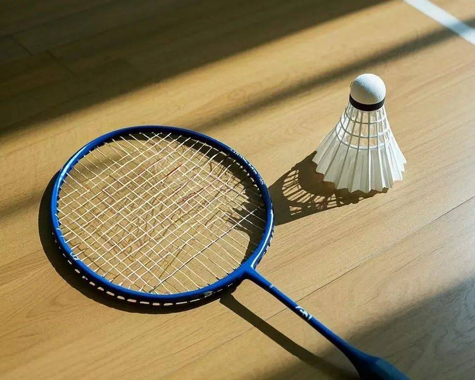 种族主义社 种族主义社