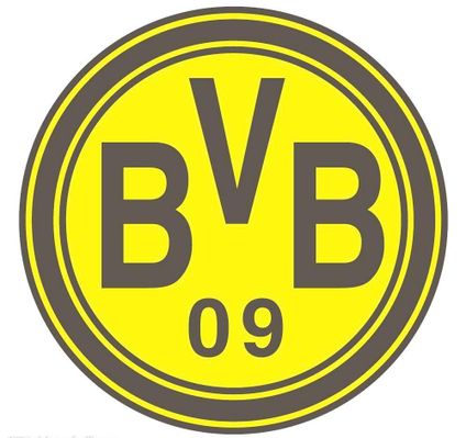 不仅擅长担 不仅擅长担