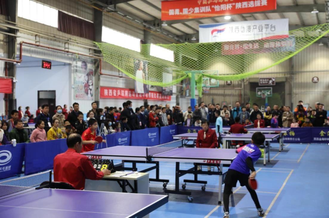 他们也逐渐 他们也逐渐