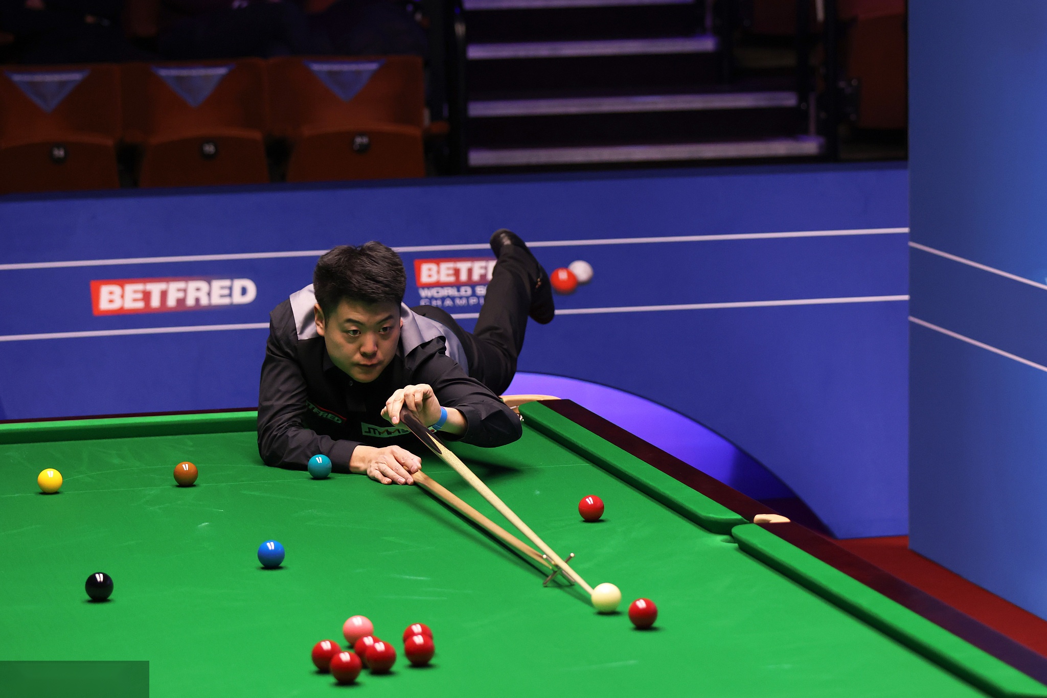 以多样化的 以多样化的