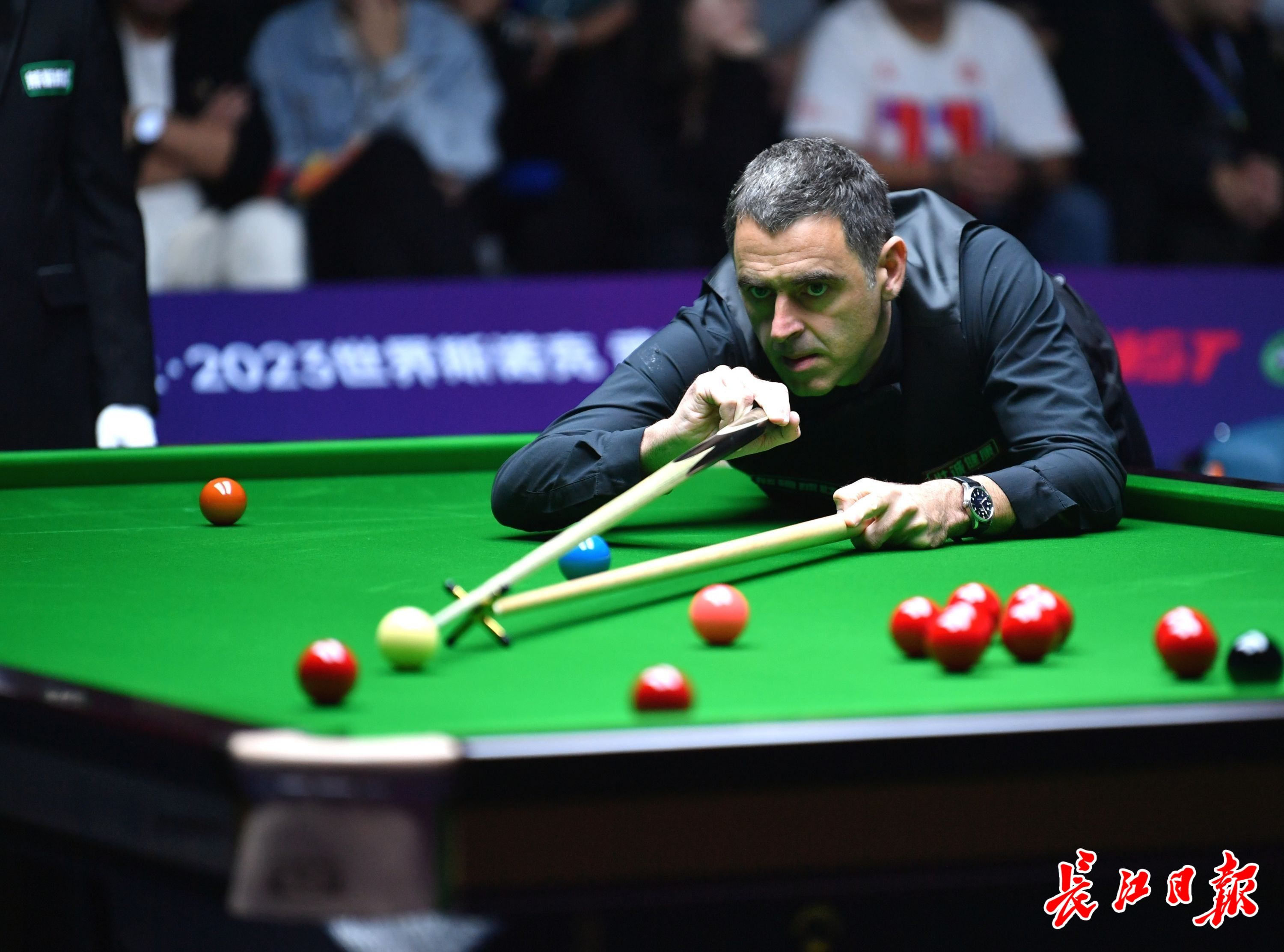 婷的数据表 婷的数据表