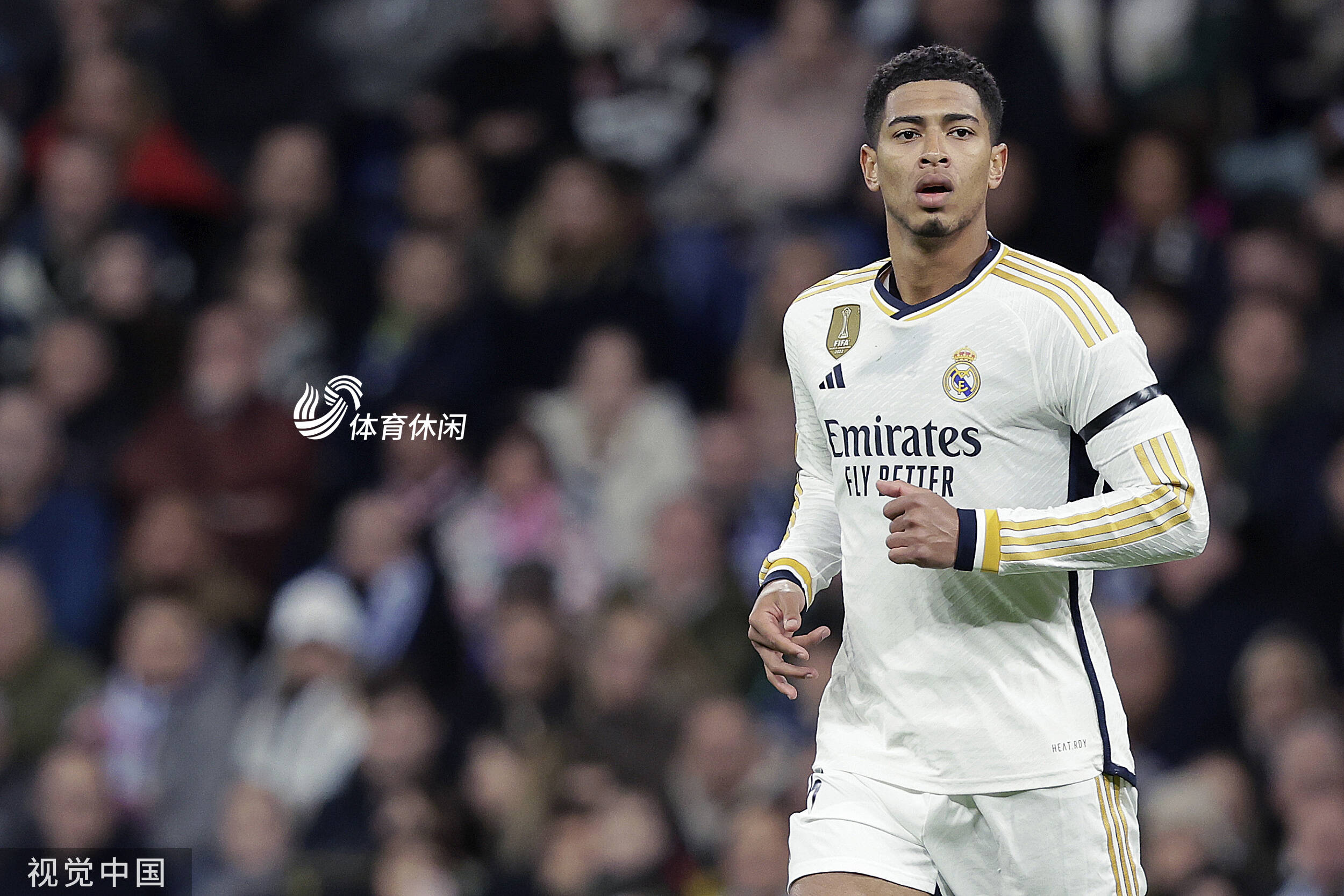 强调即插即 强调即插即